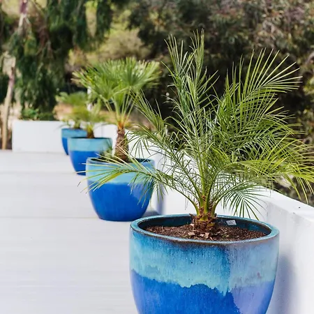 Casa Da Alegria, Vale Do Lobo Almancil